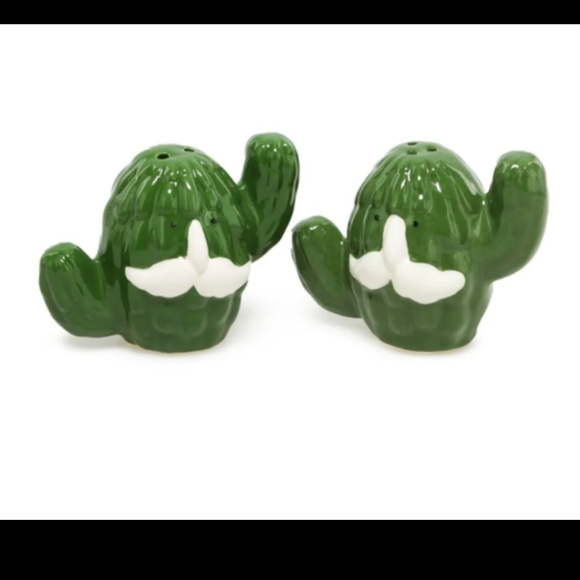 Cactus salt & pepper shakers - Picture 2 of 6